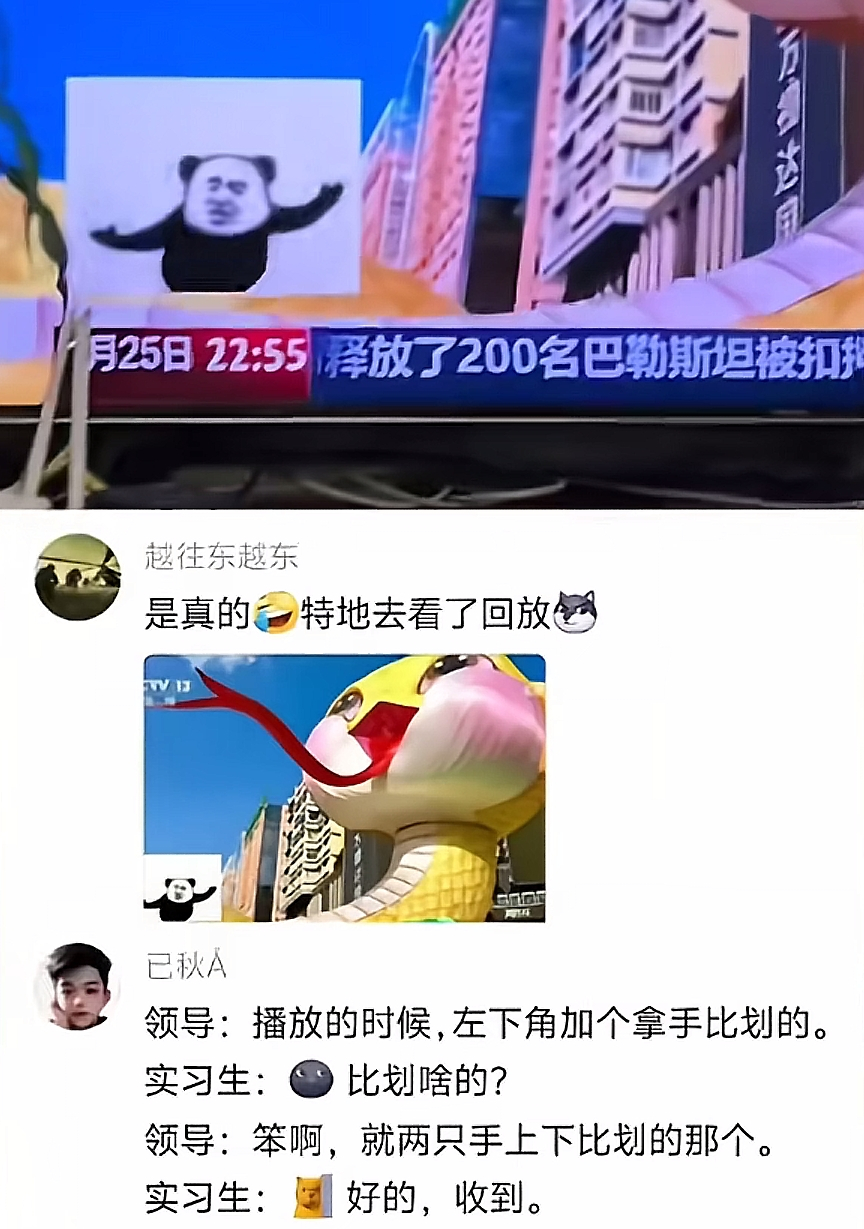 不小心把手语老师放成表情包 