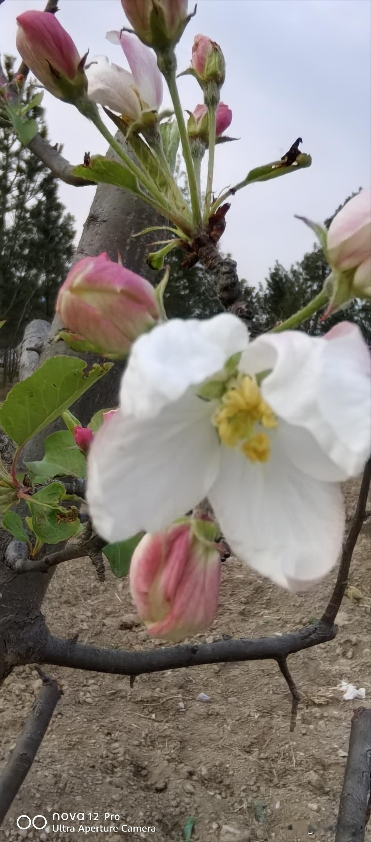 对于你现在的生活状态，给我两个字我的生活简单朴实随意，没有什么大鱼大肉，只是简单