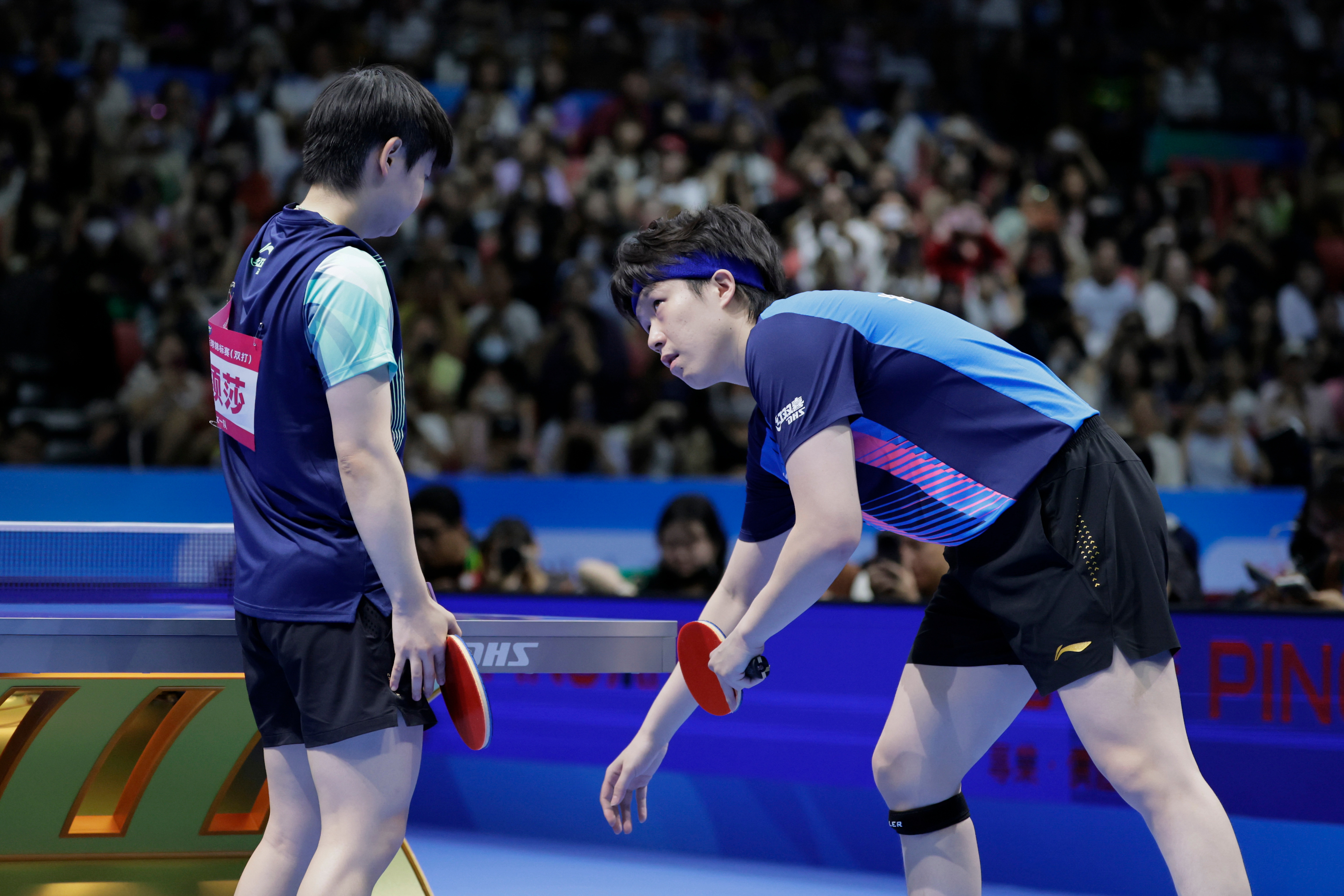 莎头 20260717｜全锦赛混双图集🦁🦈🏓 