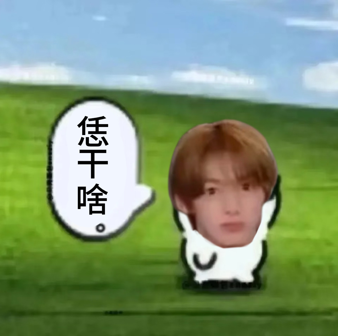 我宝宝可看不上俩丑比组成的cp 别辱他的审美了 