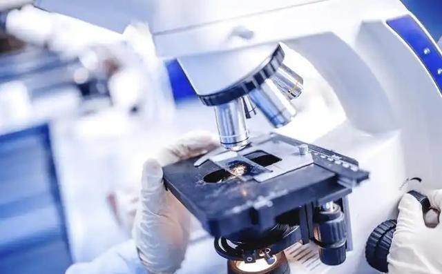 一位 日本 华人表示“高端轴承、精密仪器、 传感器 、机器人减速器、碳纤维、光刻