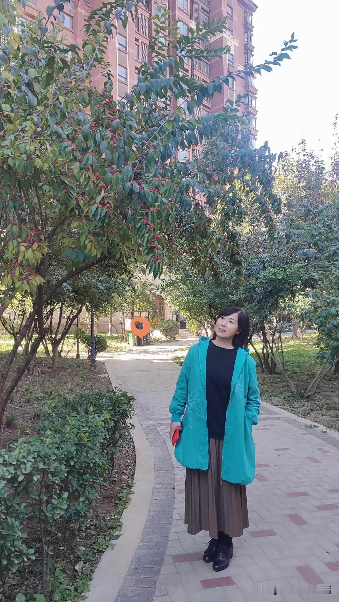 寒露至，秋已深
寒风起，露水凝
切记，天冷多加衣
愿你:有衣暖身
       