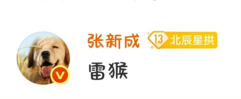 笑死，张新成一人可抵千军万马，雷猴 