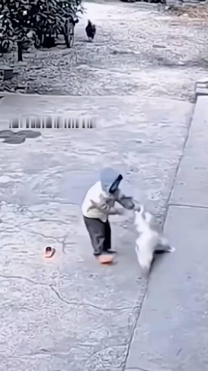 这到底是谁欺负谁？