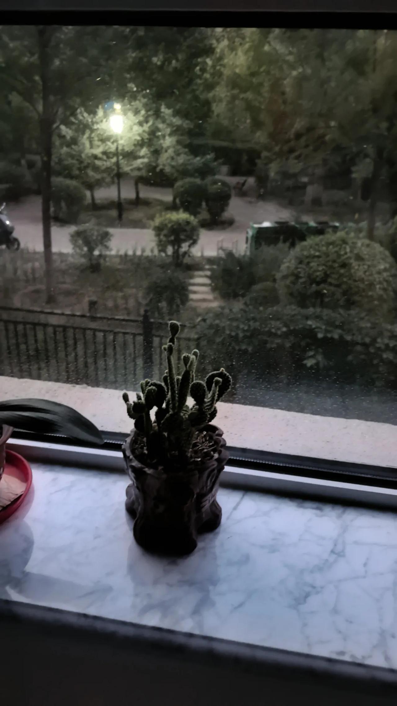 昨天晚上，在呼和浩特市赛罕区南二环附近的一个小区里，业主说，近三个月，小区里的卫