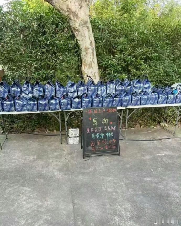 彭昱畅惊喜探班肖战《谍报上不封顶》剧组，奶茶之谊暖人心，真朋友就是这般简单又温馨