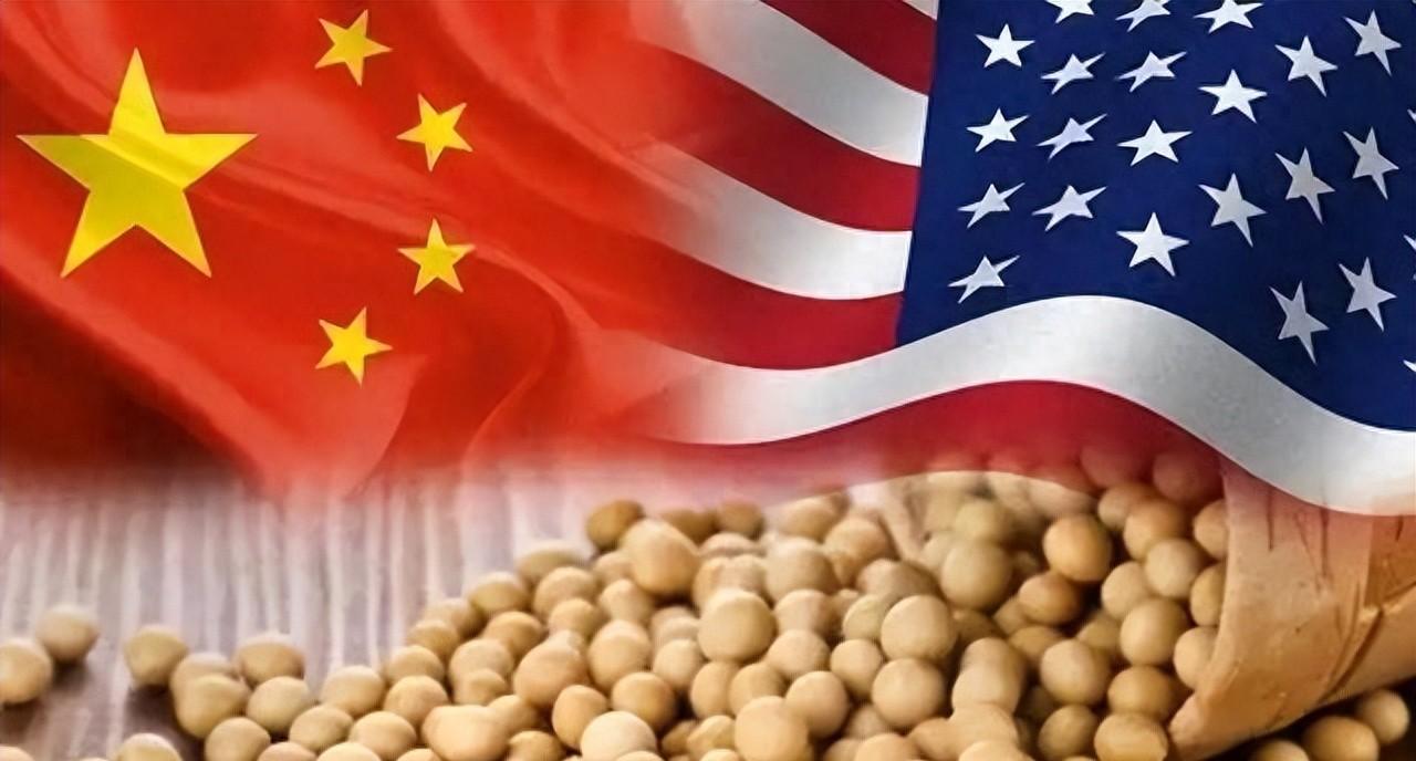 中美大豆协议背后，美国放水救农，中国买的究竟是什么？
最近听说中国要买1200万