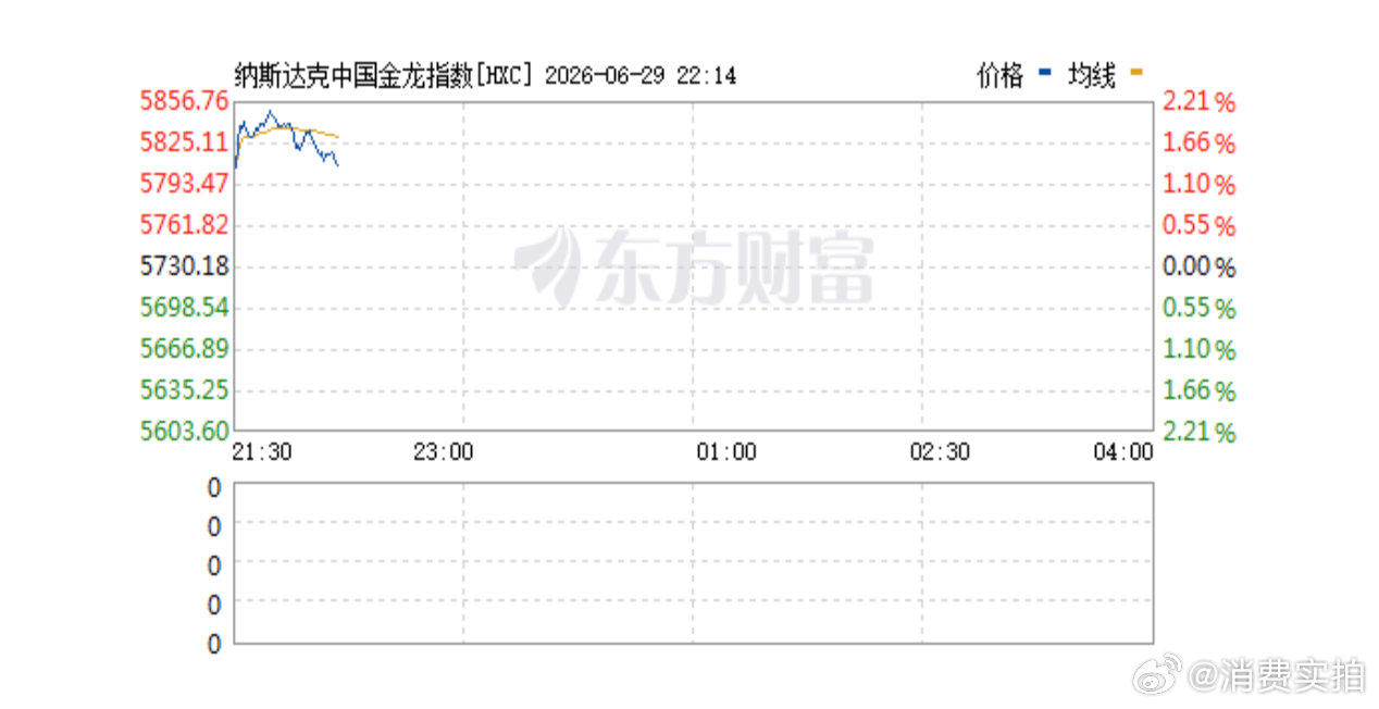 【中概股全线飙升大涨】中国金龙指数大涨超2% 6月29日美股开盘后，中概股集体上