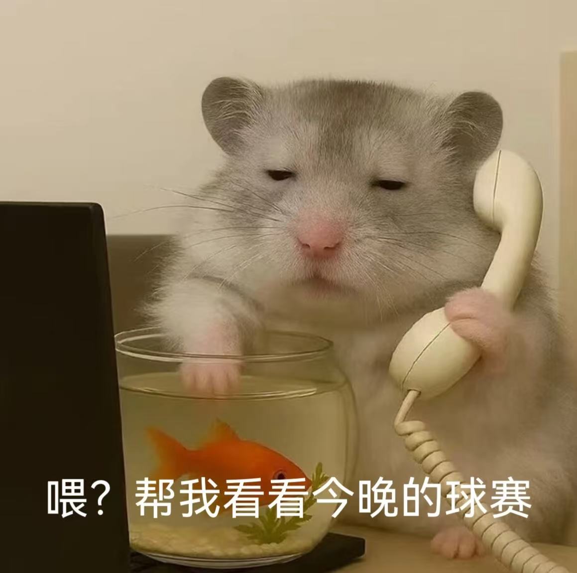 美加墨你以为的加是哪个加大伙纠结美加墨里的加字含义，我一心惦记拼团加餐就位。观赛