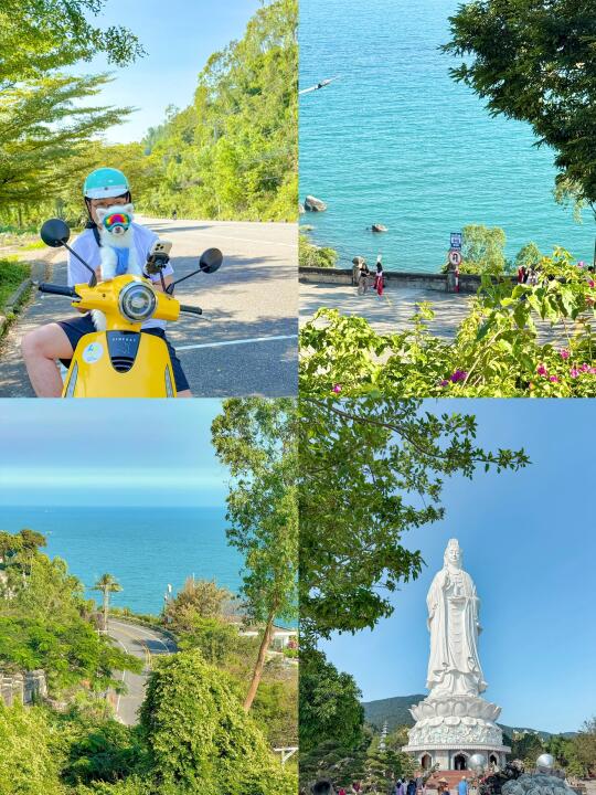 🇻🇳岘港骑摩托追风｜山茶半岛+灵应寺🪷