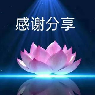 我的大彻大悟是什么？
       微头条
   我写的头条原来理论性的内容比较