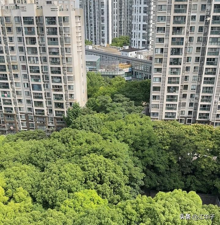 老小区换电梯卡壳！就几户不签字，整栋楼跟着耽误，邻里到底怎么了？

住了都快20