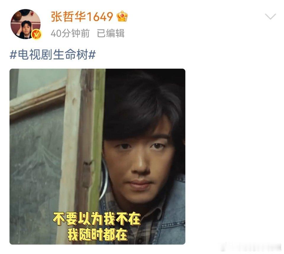 电视剧生命树 笑死了，邵云飞怎么这么好笑啊。生命树