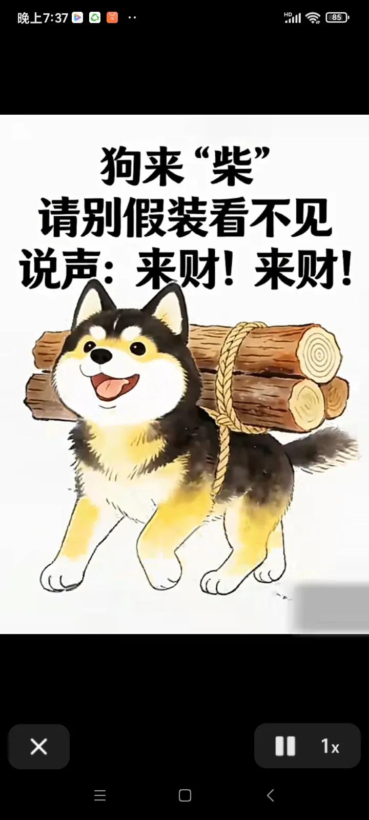 踏福翩翩至
“柴”“财”音相同
实乃好兆示
见此福犬时
高呼“来财至”
财运便登