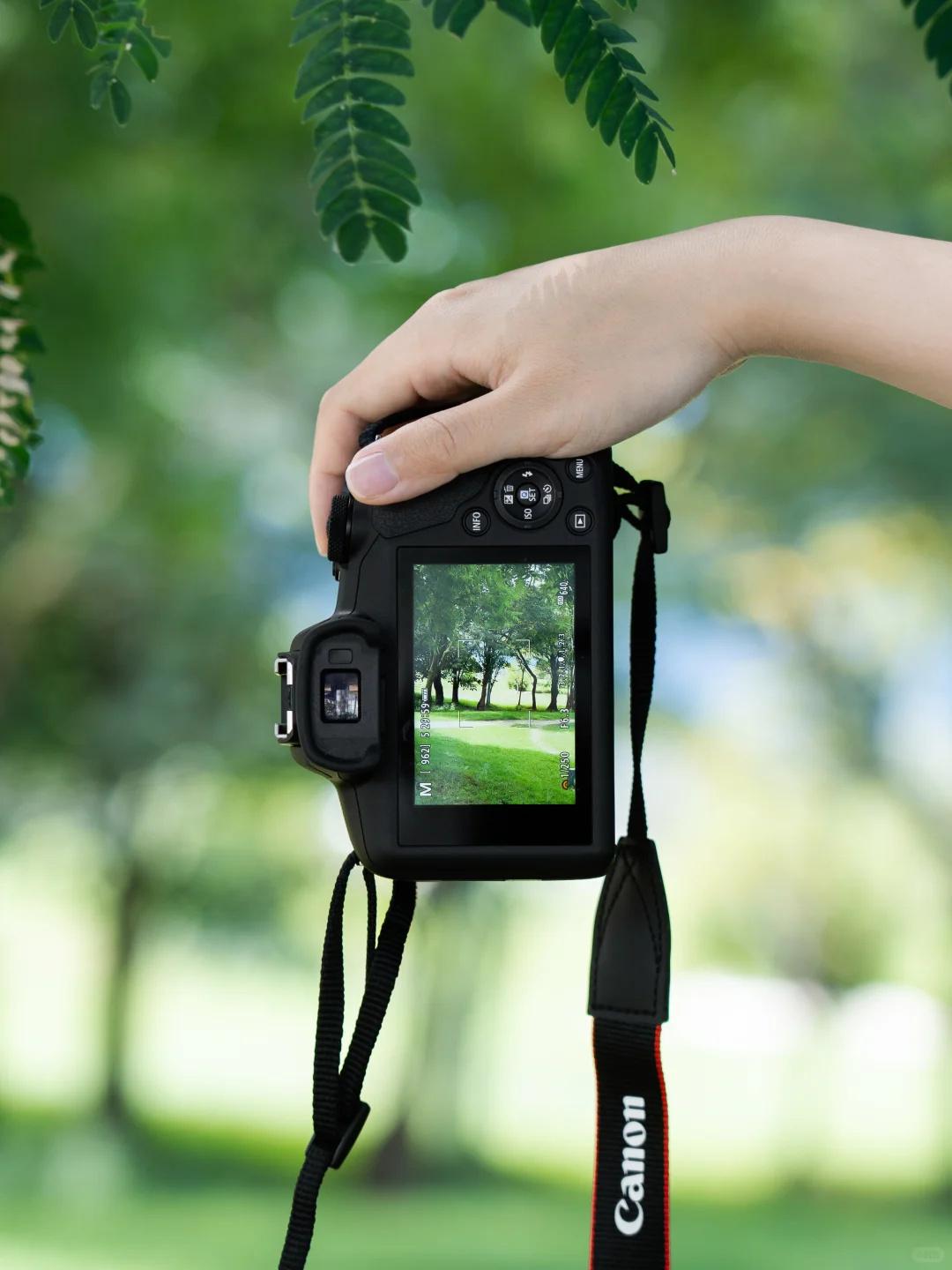 𝘀𝗵𝗮𝗿𝗲𝙒𝙚𝘾𝙝𝙖𝙩 壁纸分享 春天 聊天背景分享 