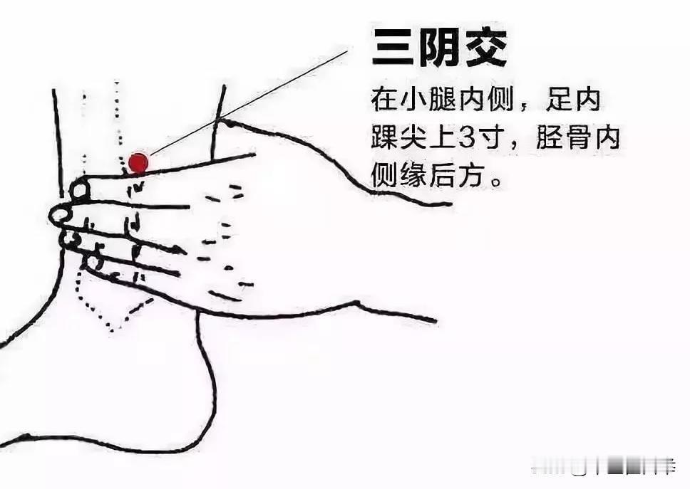 建议每个中老年人都学会用三阴交穴，用好了5种变化等着你
 
位置：小腿内侧面，内
