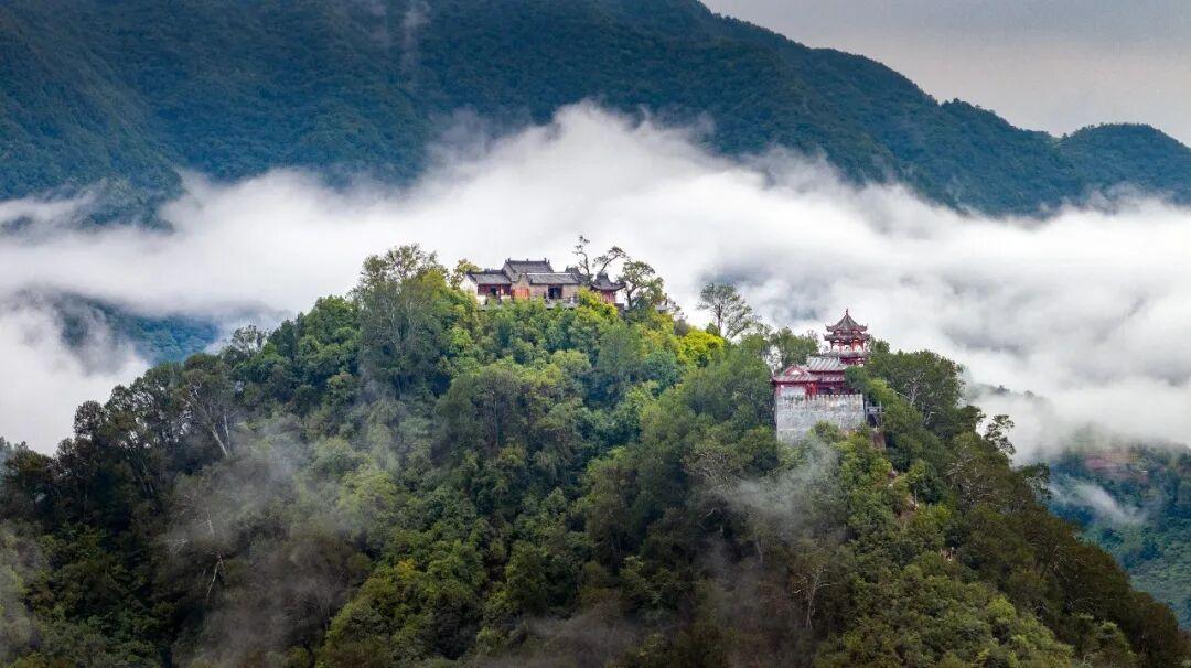 【西乡樱桃红了！】恰逢陕西省西乡樱桃沟最美味的时节。🍒 小樱桃最佳品尝期：4月