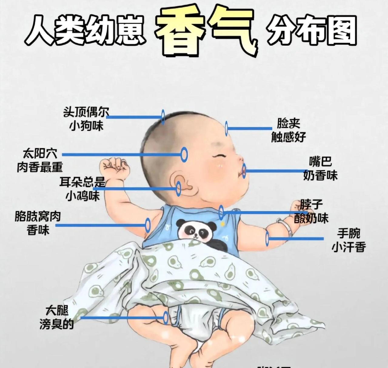 养娃这些年，我算是把人类幼崽身上的“体香”研究了个透。但最让我刻骨铭心的，不是那
