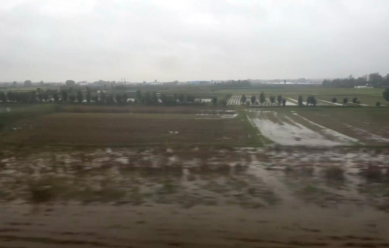 河南的农民，天又塌了。

9月的连阴雨和10月依然不绝的雨水，已将中原粮食主产区