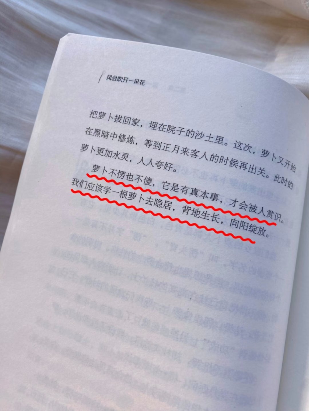 狠狠沦陷！读到一本文笔超超超绝的散文书 