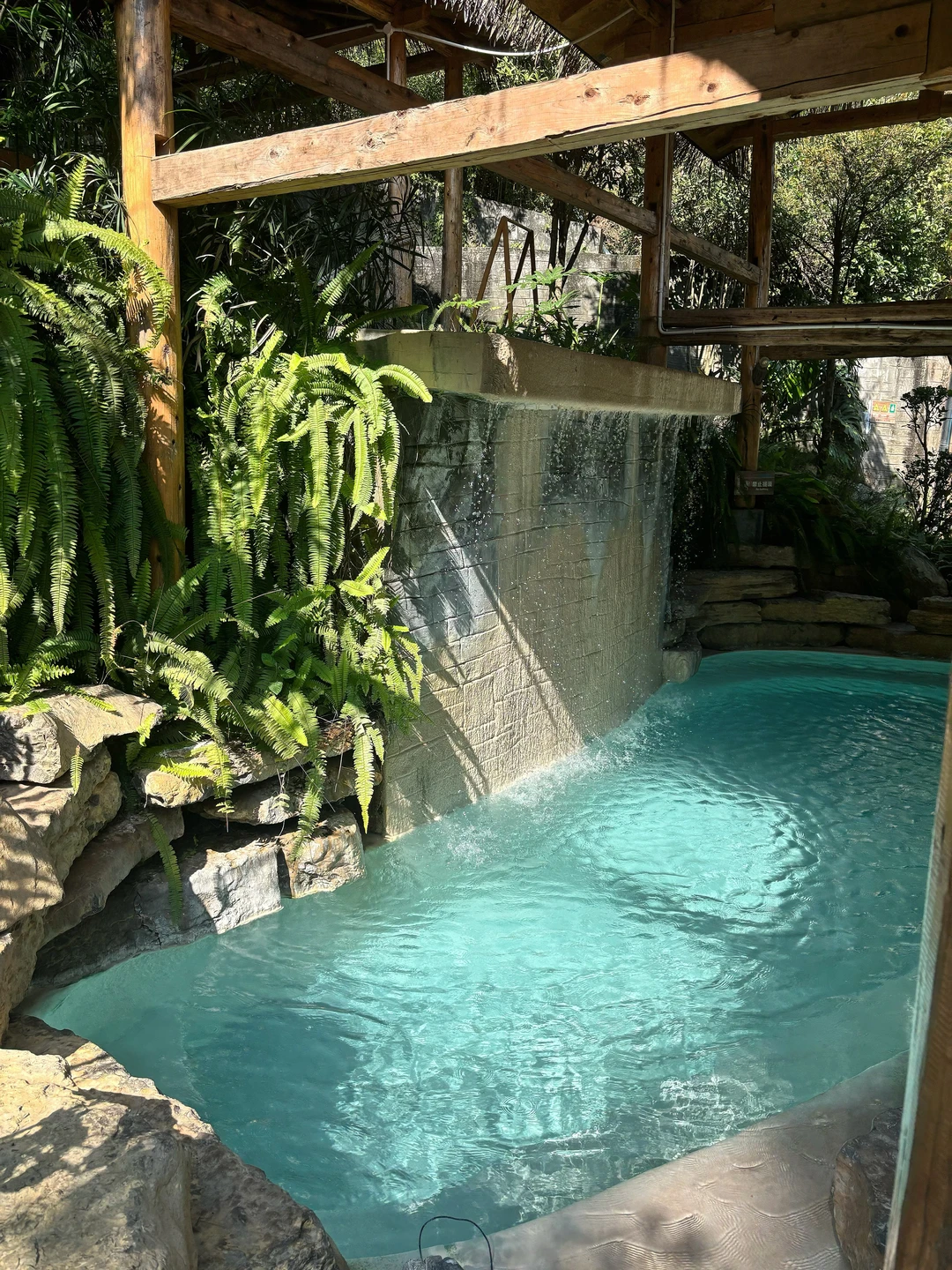 森林里，活流水温泉。 实况图治愈冬日！