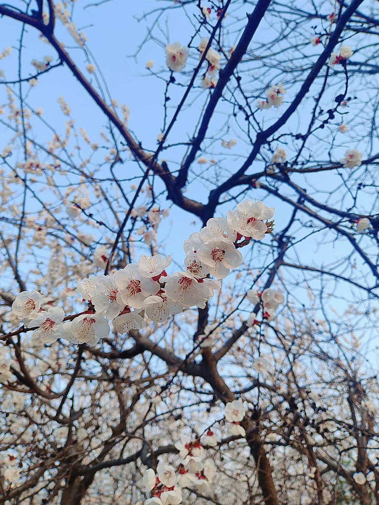 分享一下你随手拍的照片