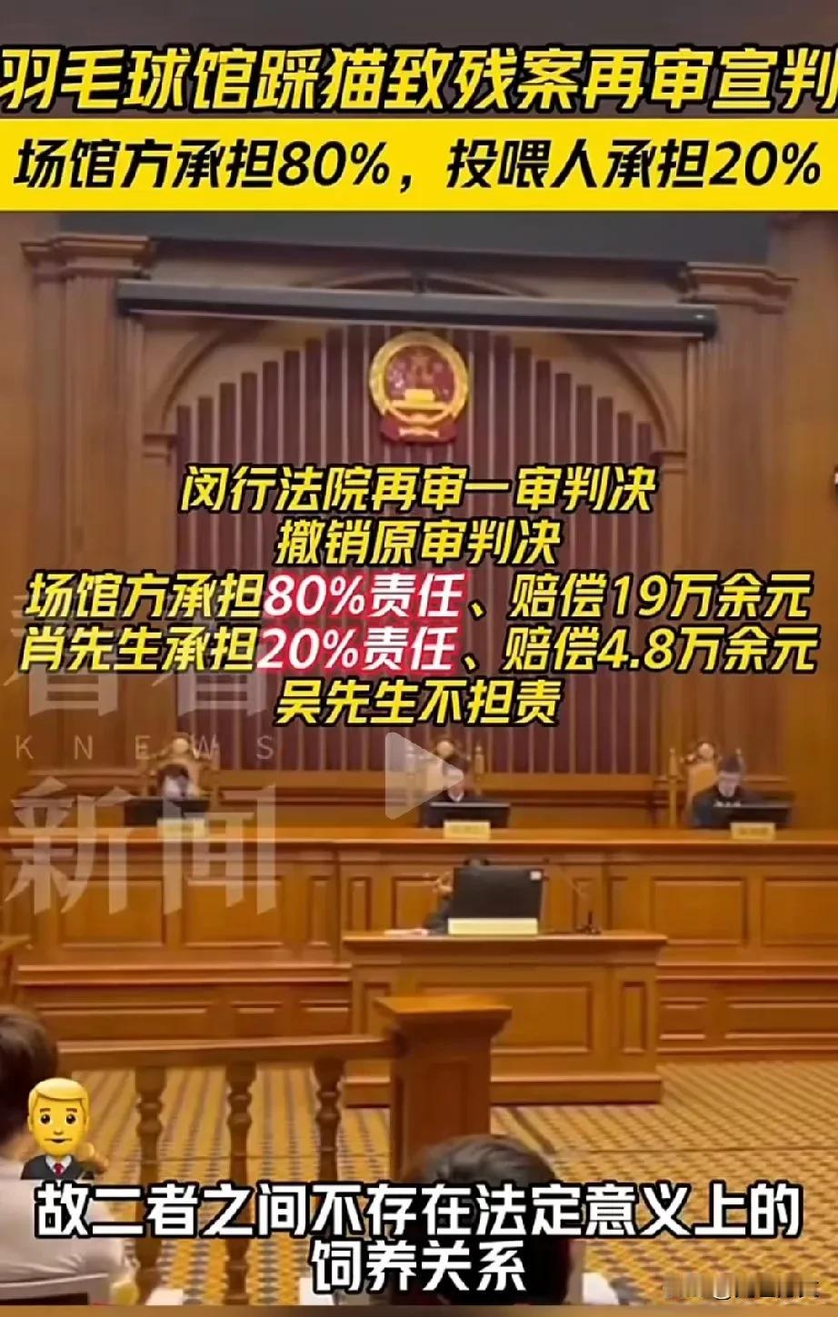 “逆转，法院最终改判”！被流浪猫绊倒致骨折，投喂者被判赔偿24万后续，经过公益律