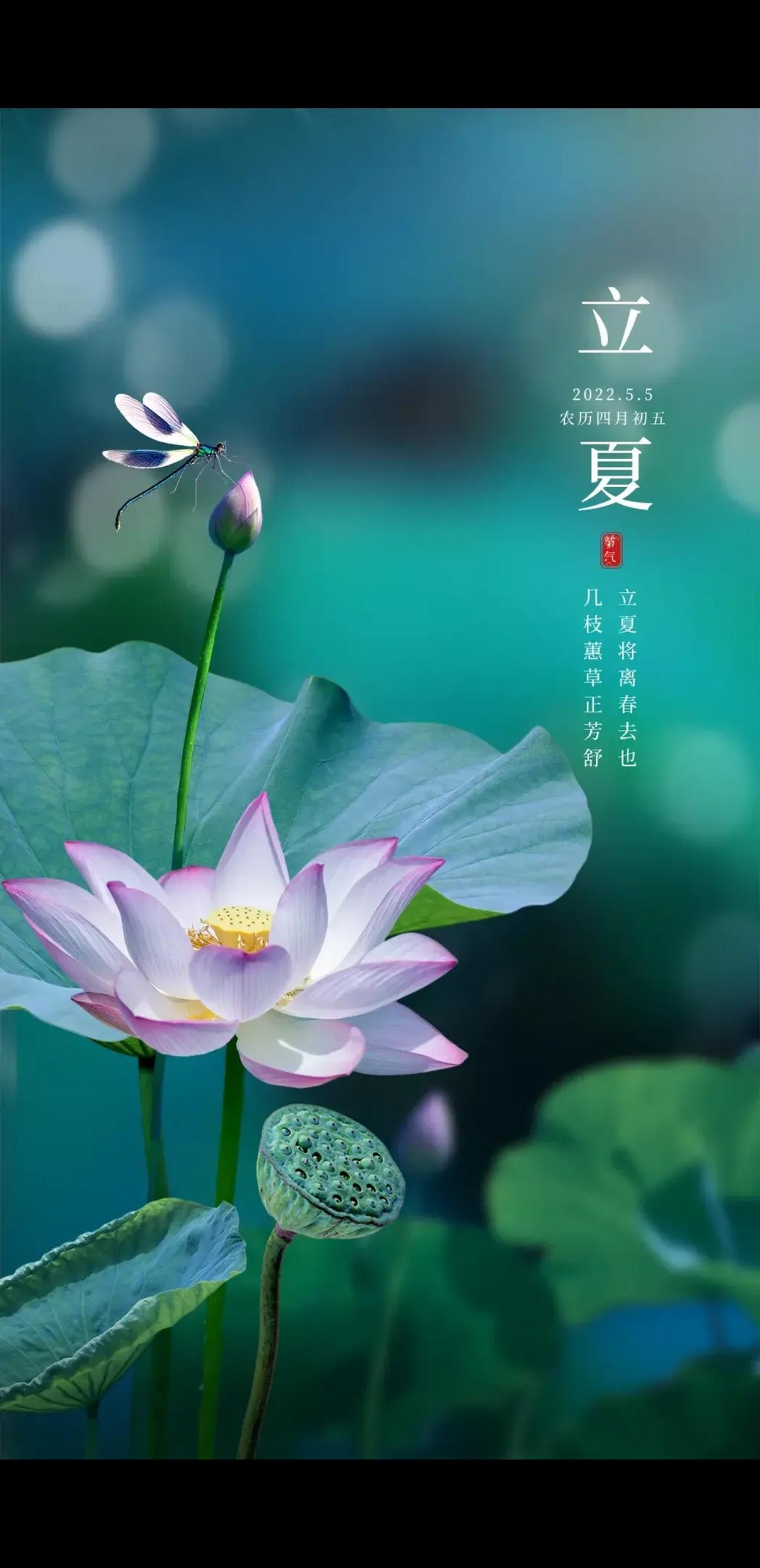 [烟花]今日立夏[烟花]
立夏初临春意隐，
微风轻拂内心热。
白昼渐长时愈久，
