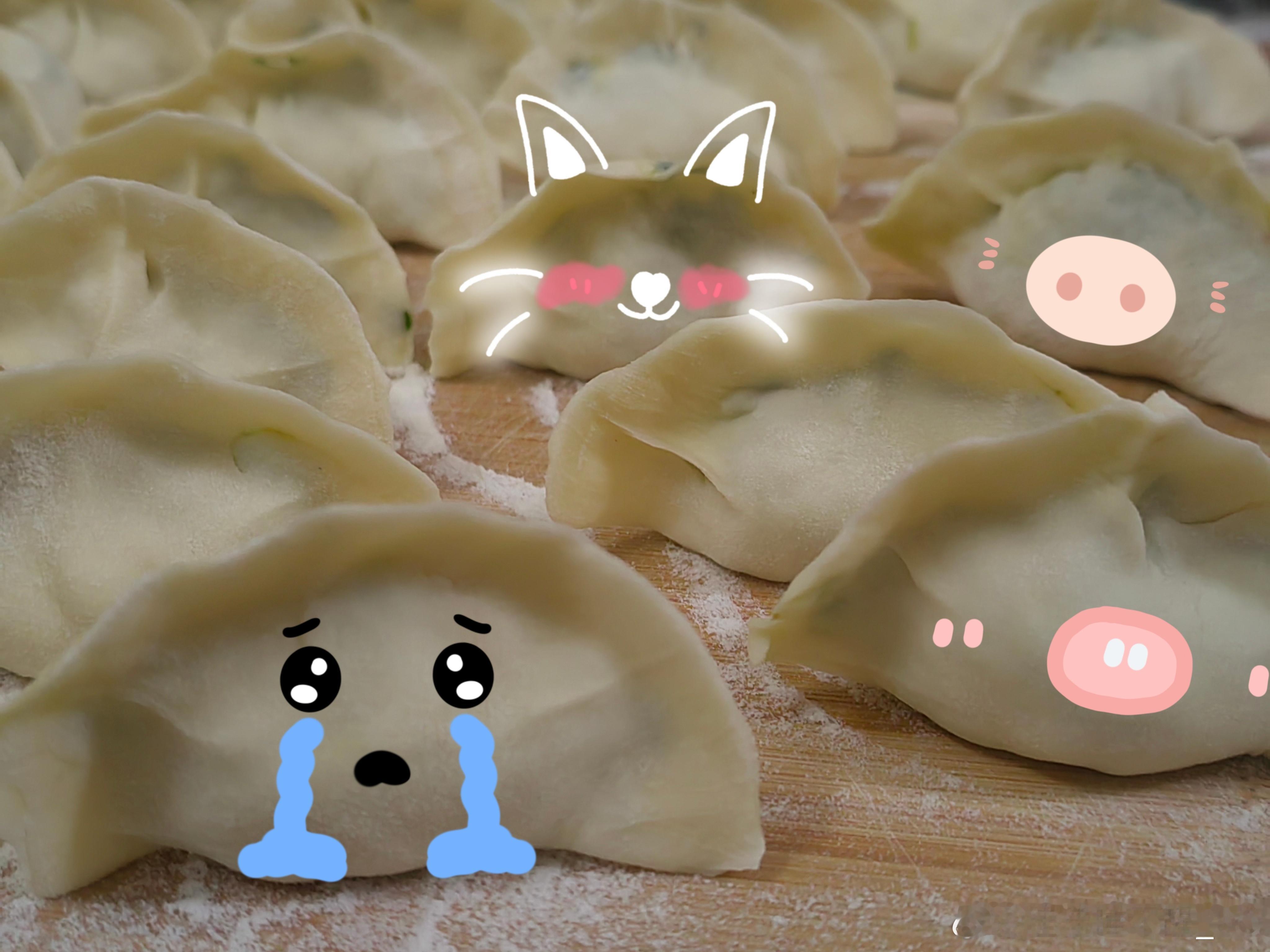 🥟冬至福至，冬至欢愉，常安常乐[锦鲤附体] 