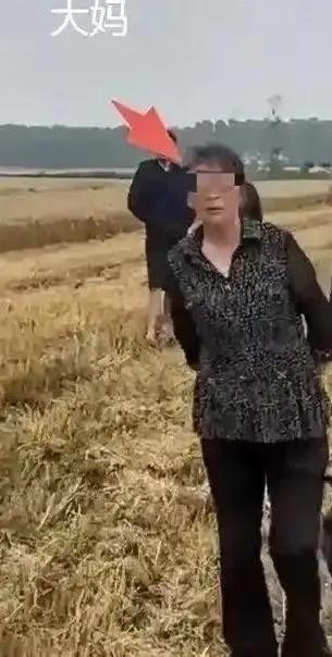 湖北襄阳摊上大事！一对95后夫妻，从河南赶去当地帮农户抢收小麦，跟一个农户大妈谈