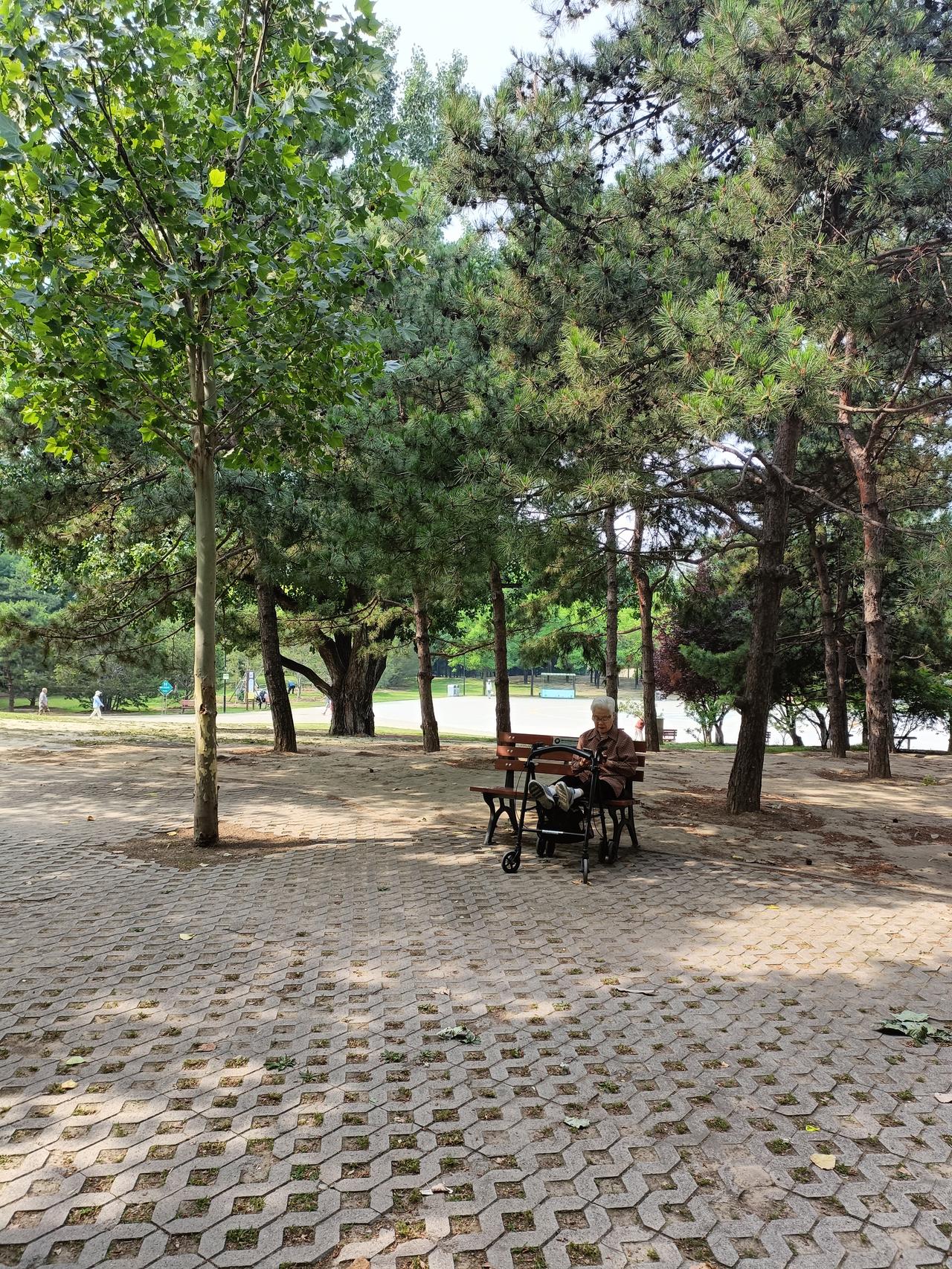 人迷茫的时候，不妨先躺平。把身体养好，将上班落下的各种毛病都调理调理，养成早睡早