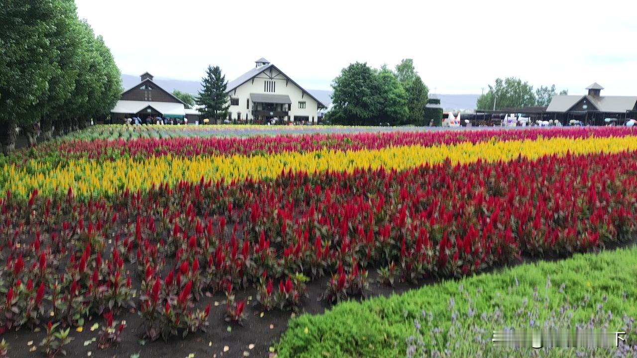 问题是躺平也不一定舒坦呀！工作不一定只意味着劳作辛苦，也意味着你积极生活，与社会