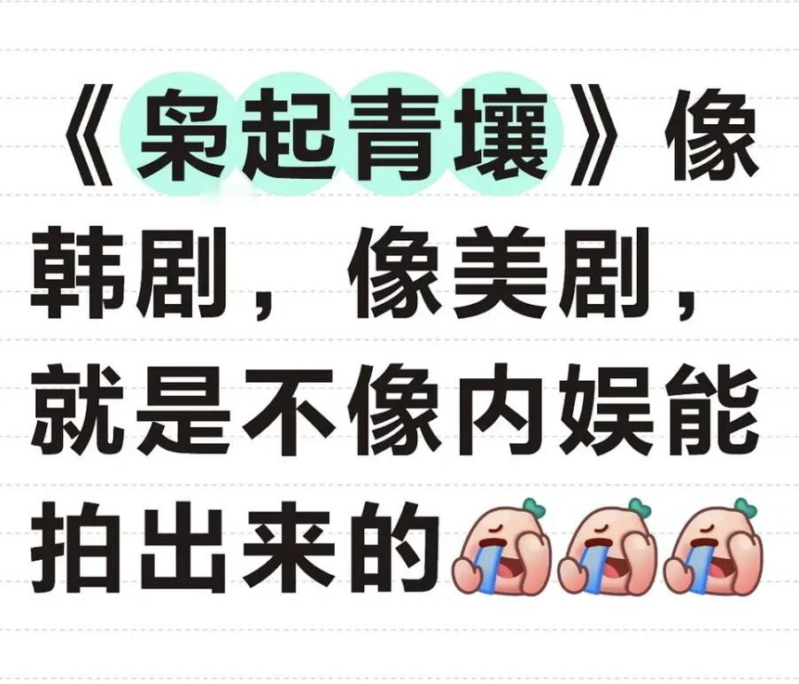 其实就是偶像剧不像偶像剧，悬疑志怪不像悬疑志怪，整个四不像。其实我个说法，不知道