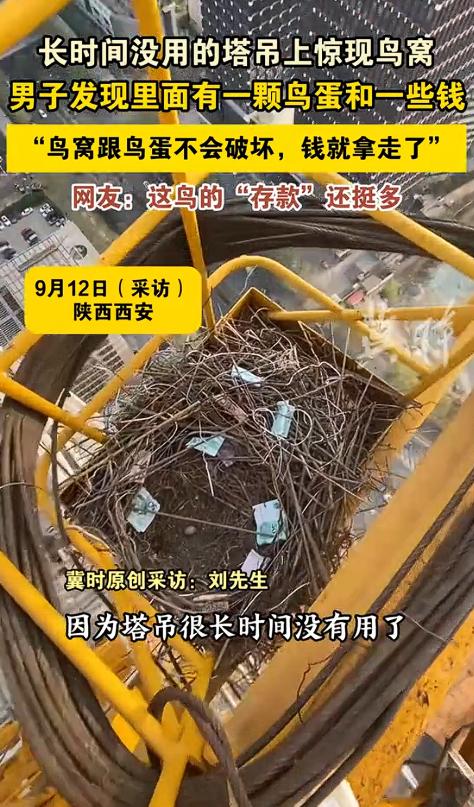 天上掉馅饼了！陕西西安，一男子在进行塔吊工作时，意外发现了一个喜鹊窝，里面除了有