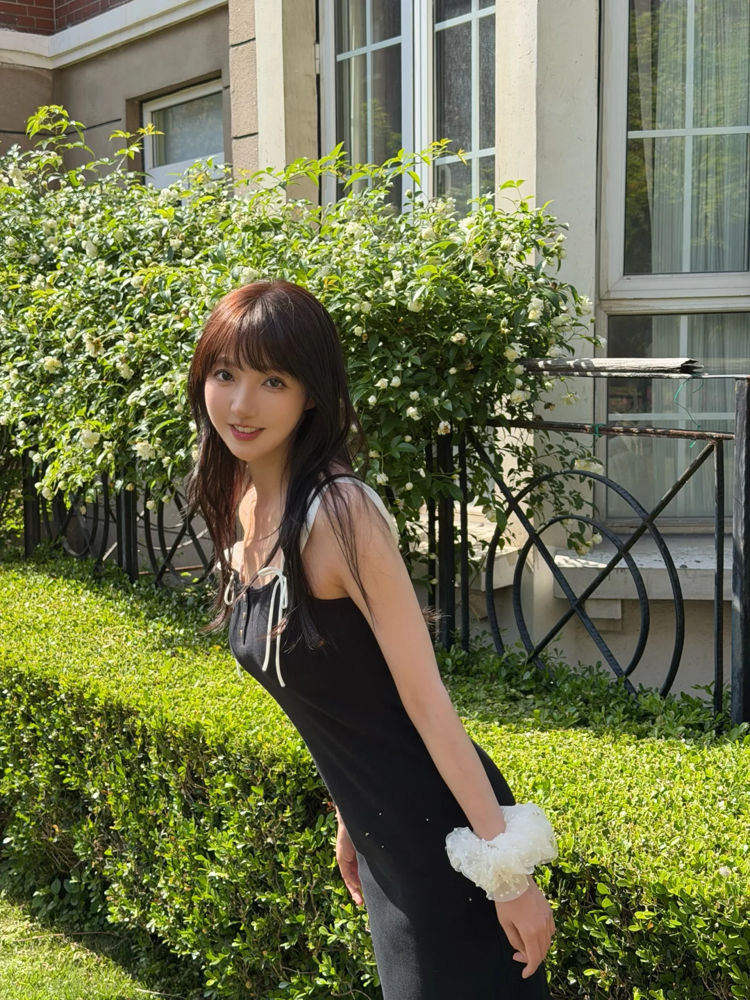 角落窗口🪟白色蔷薇 我们的秘密🤫