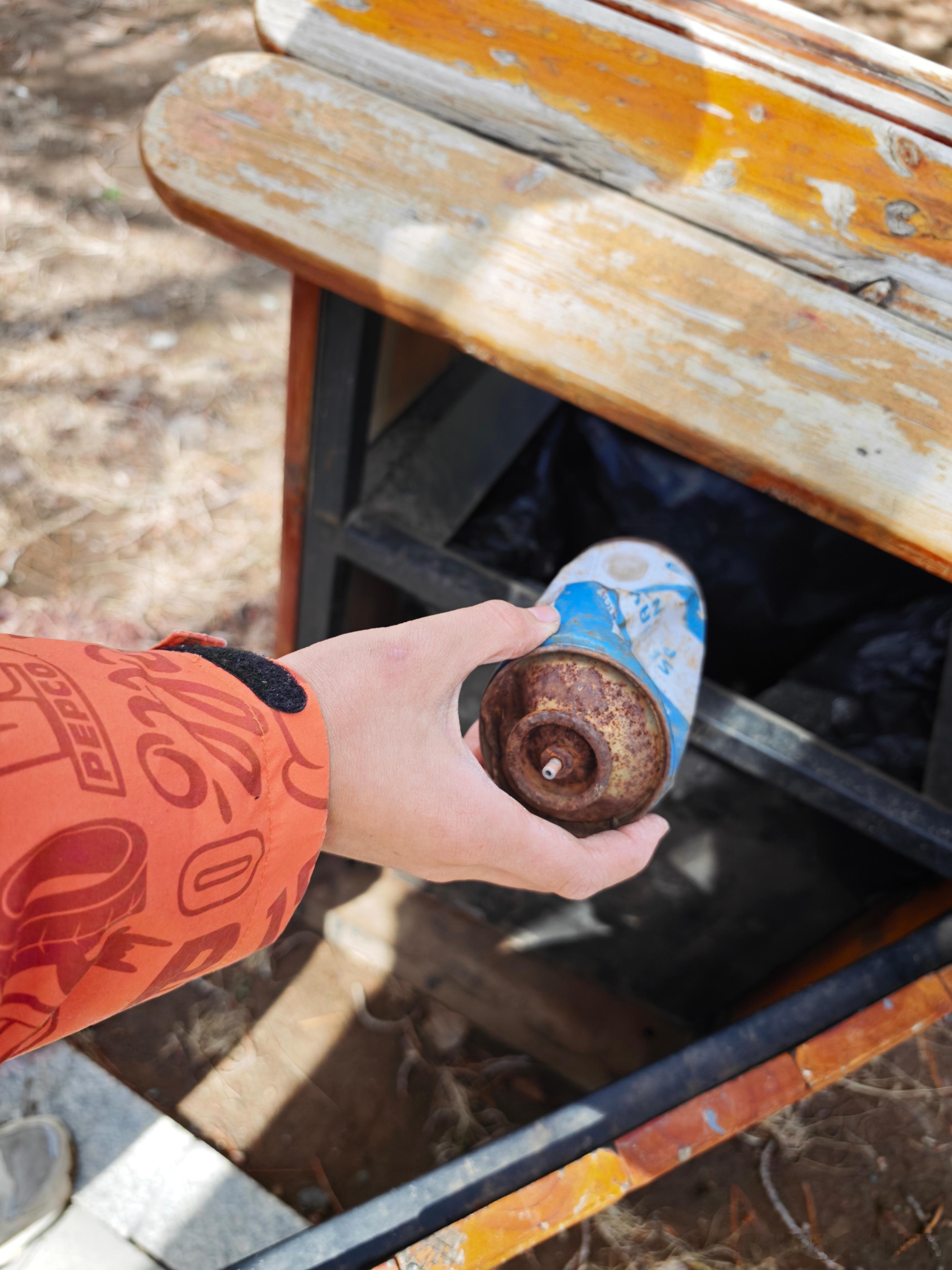 林间拾趣与代际困惑【当孩子眼中的电车不如油车】春日的阳光毫无保留地倾泻下来，把林