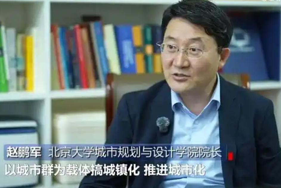 赵鹏军，1975年出生，英国社会科学院院士、中国地理学会会士，北京大学博雅特聘教