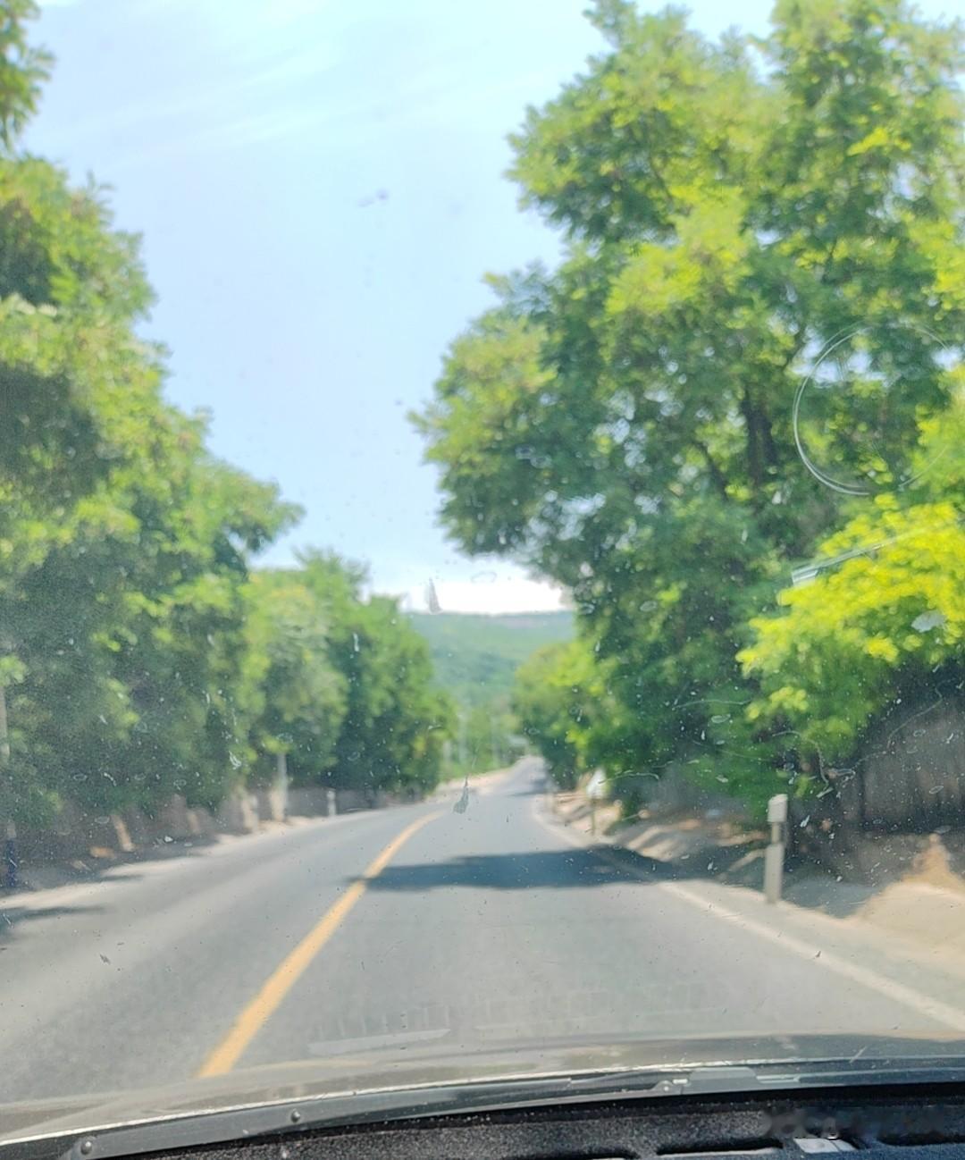 早上天刚露白就出门，晚上太阳落山才进门，一天两顿饭都在地里吃。椒农们的辛苦是吃花