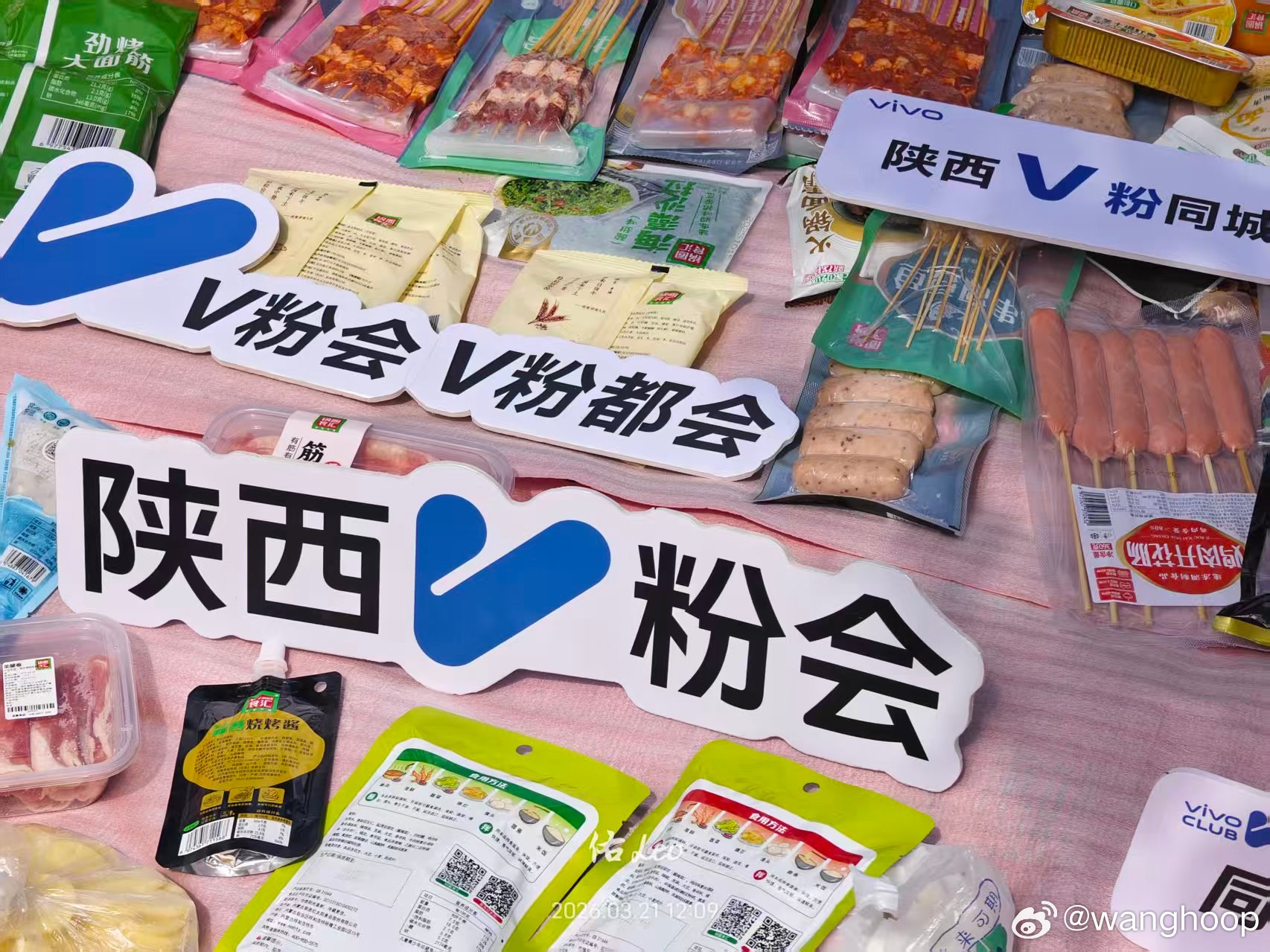 vivovivo摄影vivoV粉同城会春日露营聚会回顾 | 陕西V粉西安线下活动