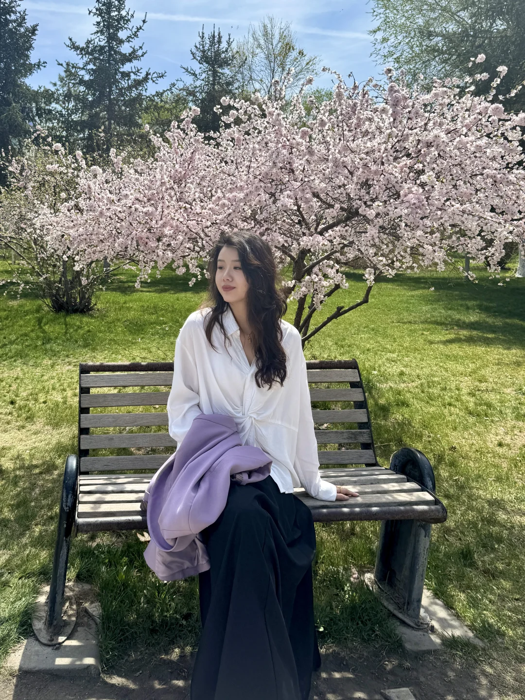 乌鲁木齐红山公园花开啦🌸🌷好浪漫~