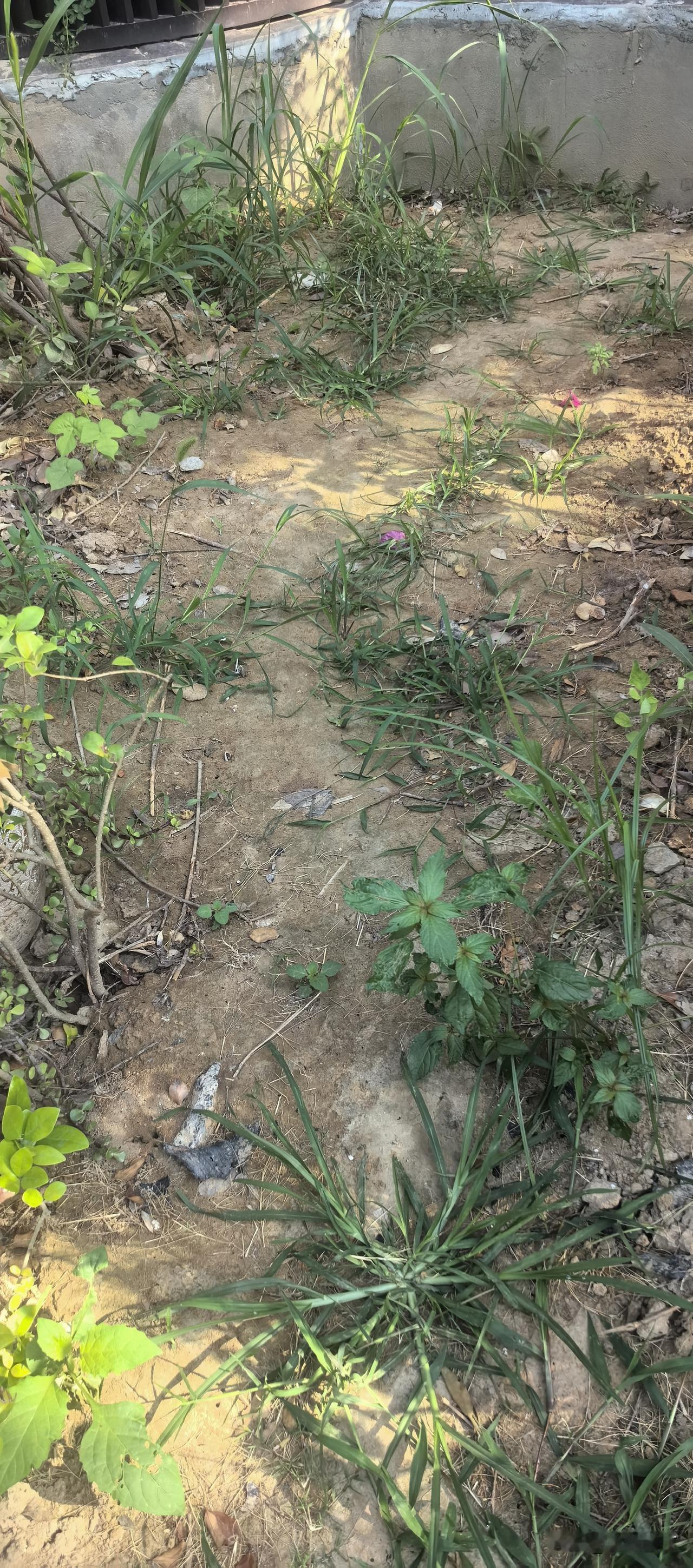 送完小宝，给大家拍拍我们这县城3块6物业的服务水平。

老师的特点之一就是胆小善