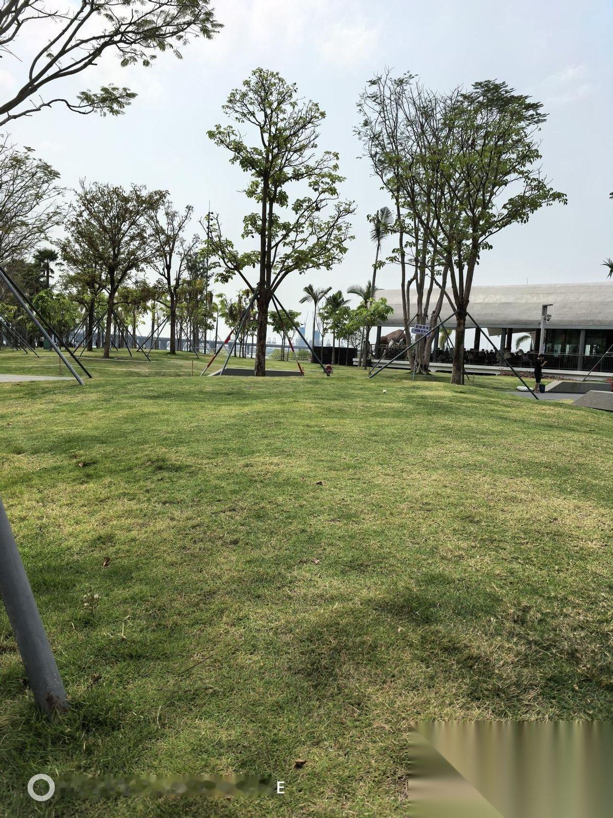 看到BRAF V600E基因检测阳性的那一刻，我头脑一片空白，没有悲伤和恐惧。有