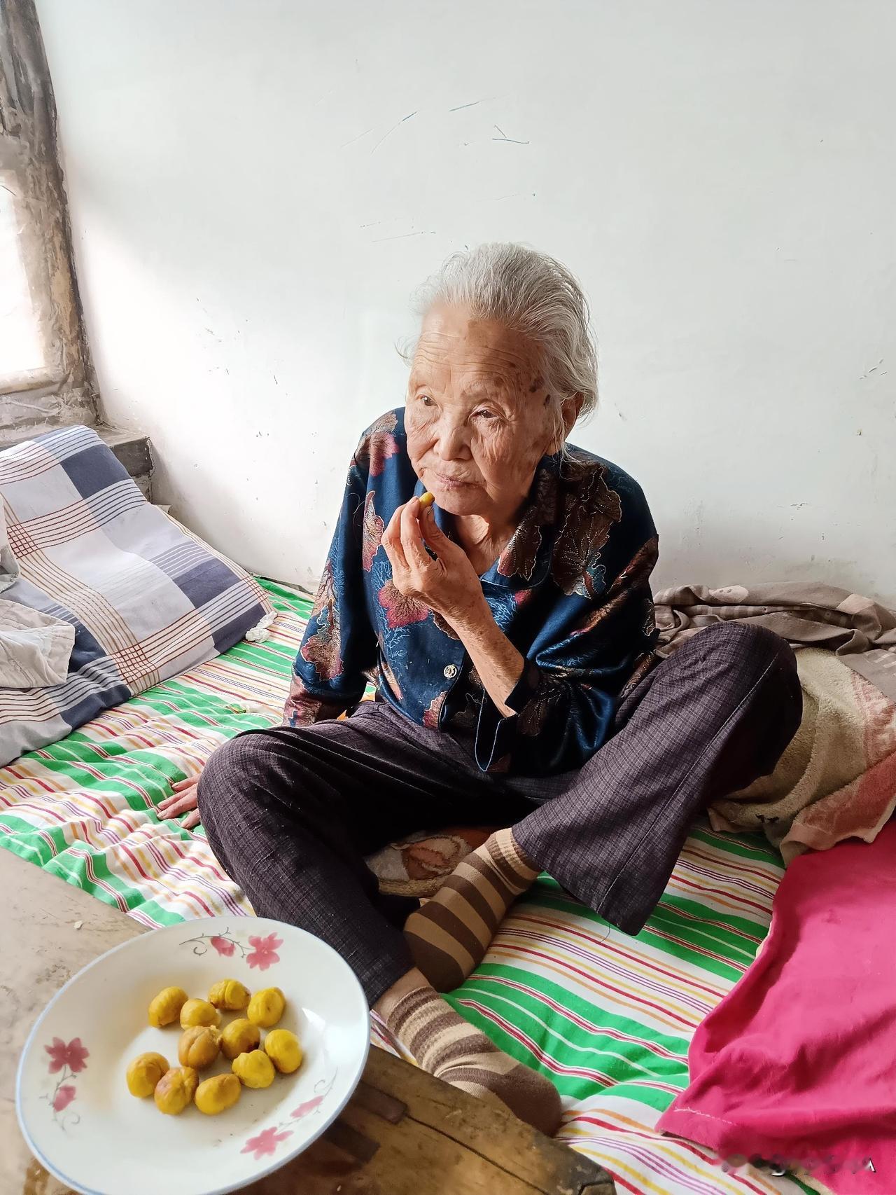 家里出产的板栗，能让90岁的母亲吃上一口是一口，下个年头恐怕想让她吃她吃不到了。