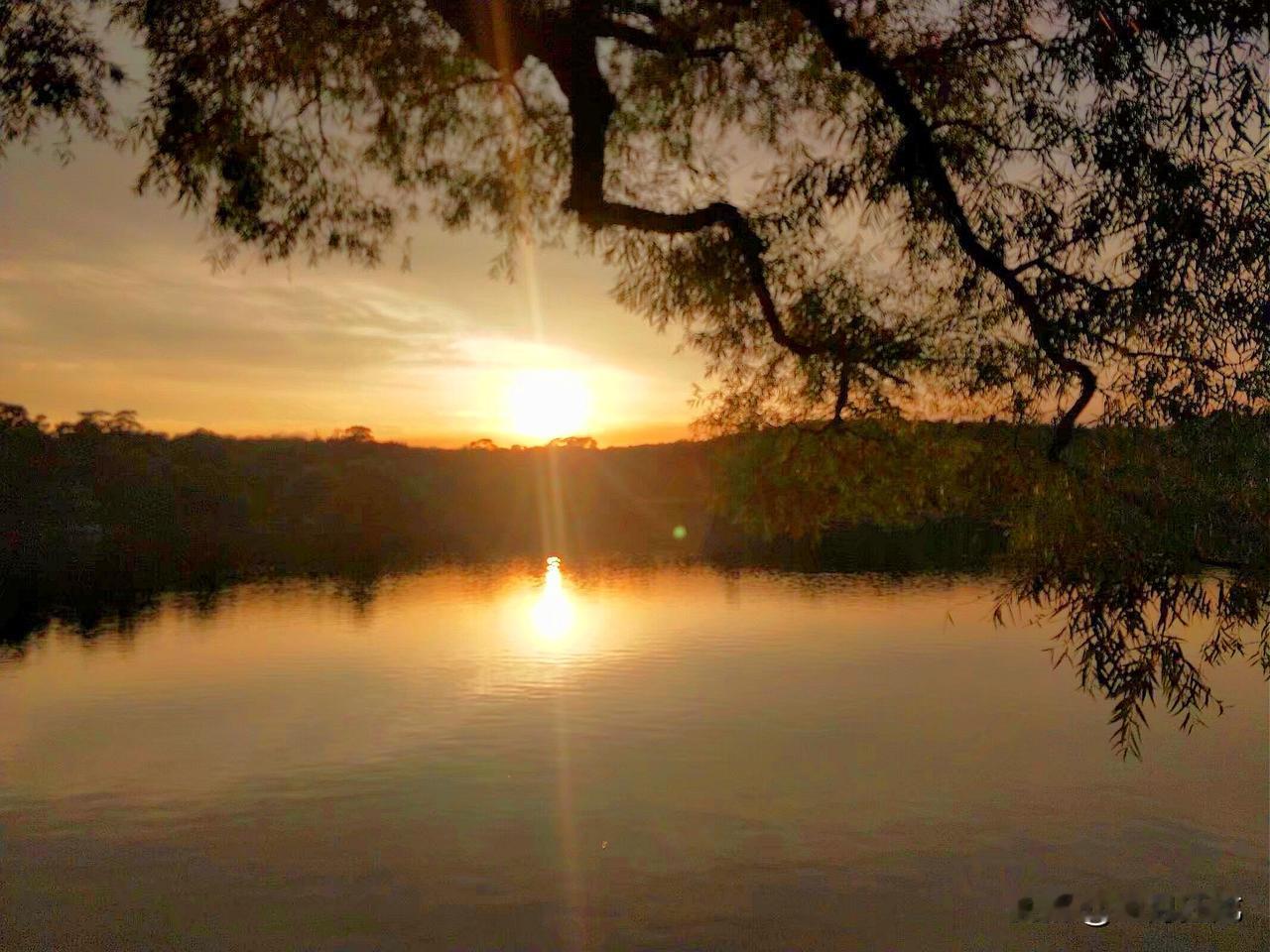 这个世界太疯狂了，谁敢相信，大户和阿酋都能发生冲突呢？

12月3日，在拖鞋家里
