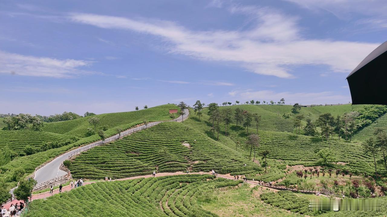 我老公念叨信阳文新茶山好久了，这个假期终于提上日程，没想到两天要去游两次，不过我