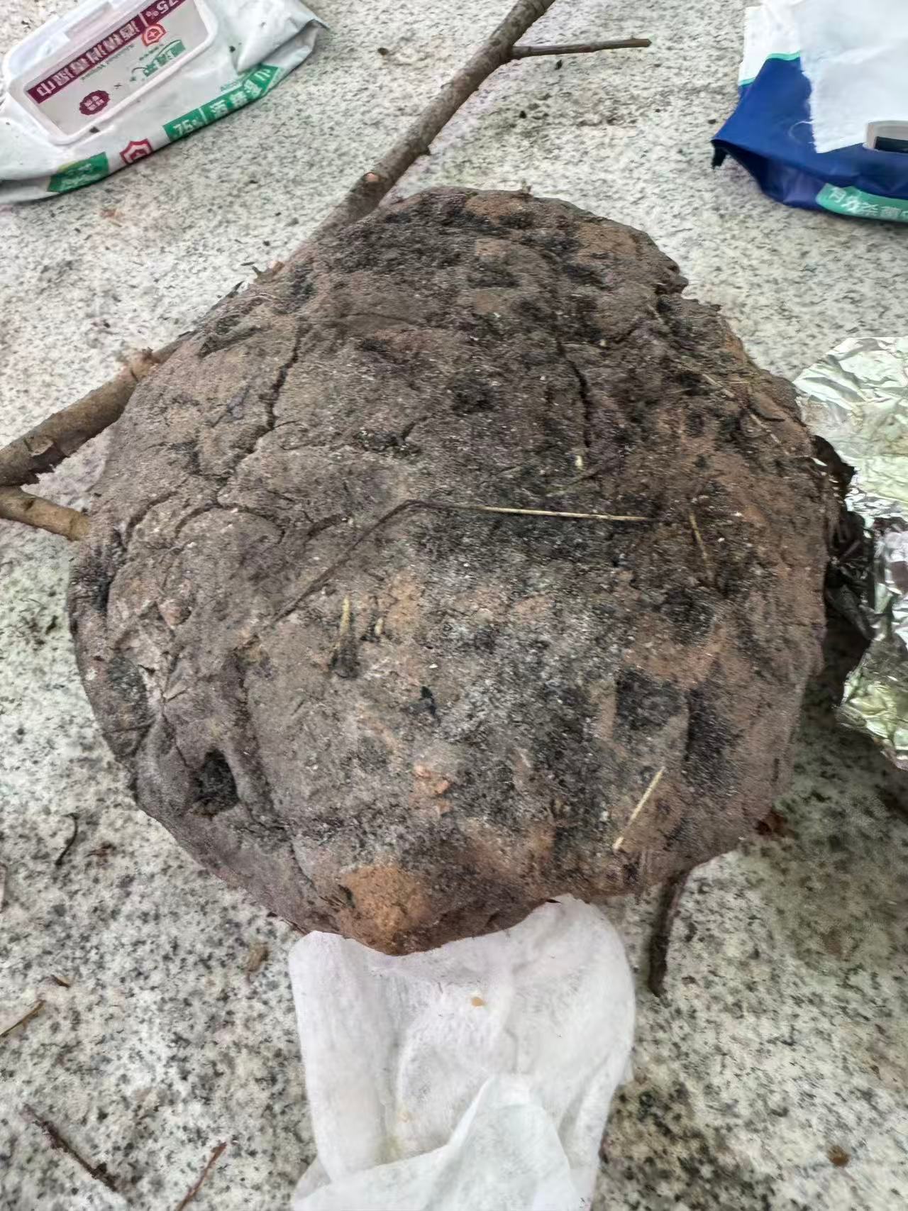 这种烧烤有点别致，叫花排骨鸡翅 