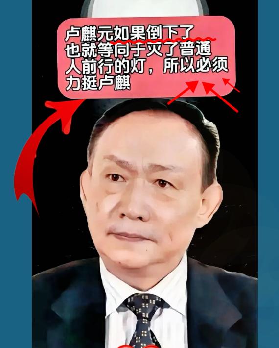 卢麒元这番话，真像一把手术刀，生生割开了那层遮羞布。

卢麒元这话太狠了，直接戳