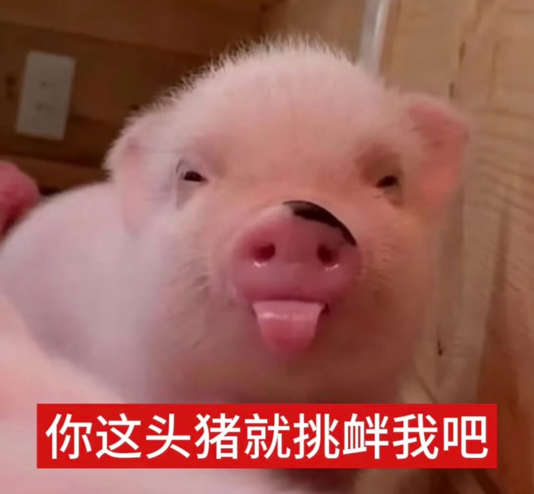 坏消息：老花又以老头背心的形式露肉了好消息：是肥肉不是鸡肉