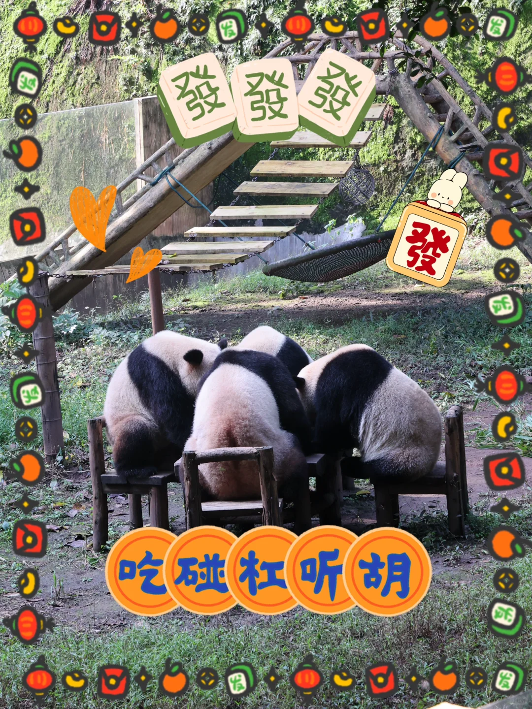 交换一张大家去重庆动物园的照片