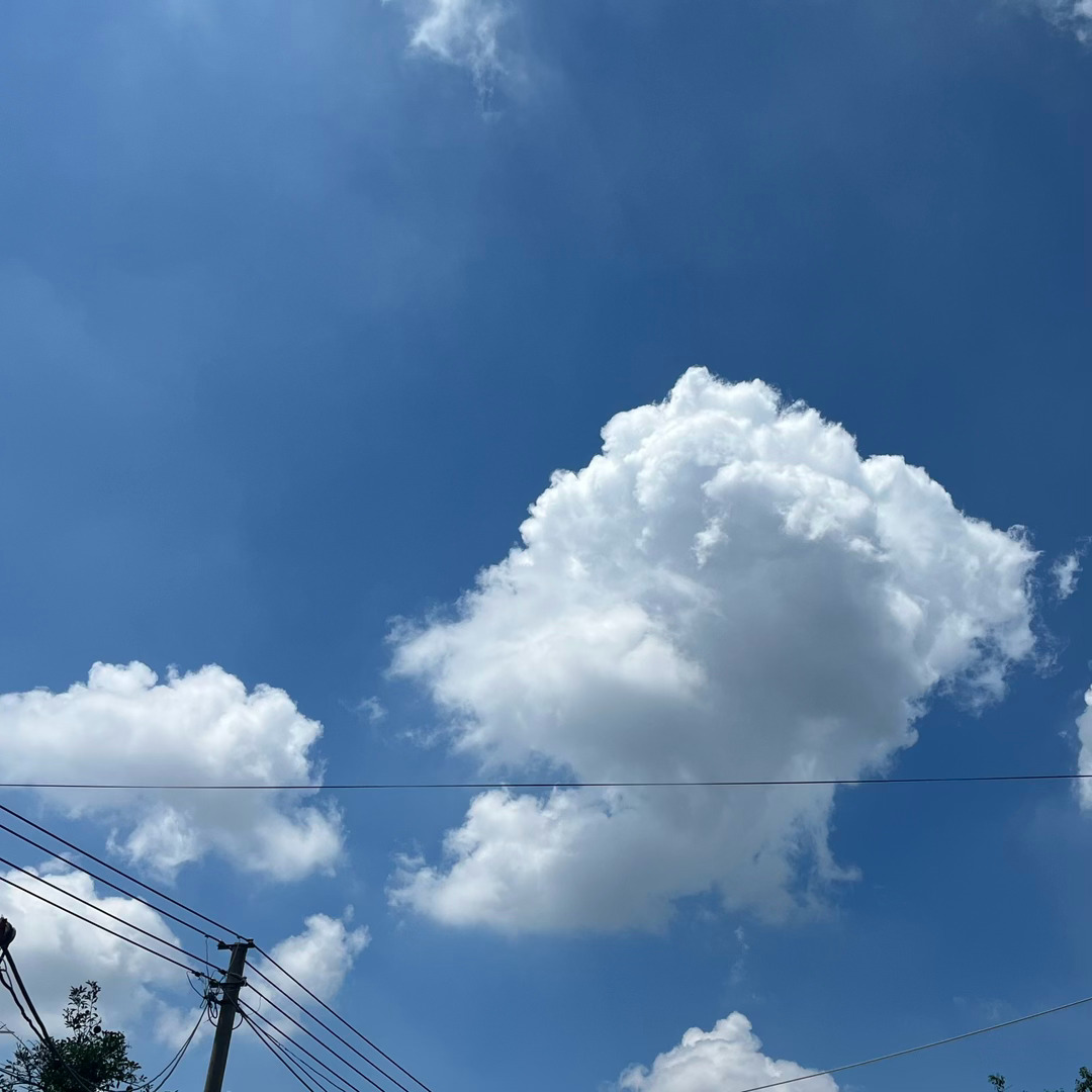 天呐已经一周多没看见太阳了终于不下雨了 